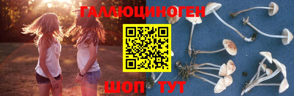 Алапаевск  Псилоцибиновые грибы Psilocybine cubensis  Галлюциногенные грибы ЛСД  Вход с VPN 